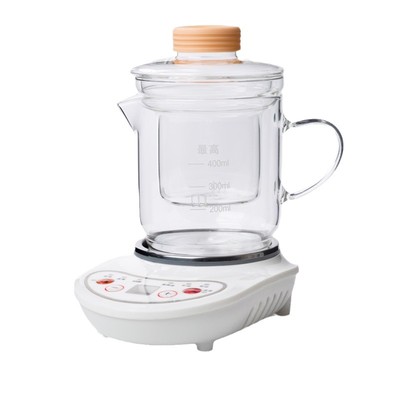 迷你花茶壶办公室用多功能养生壶