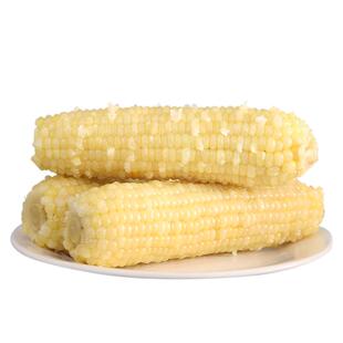 天勤粒粒净25年新采玉米真空装有机白甜糯新鲜玉米