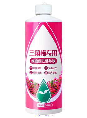 三角梅开花专用营养液肥促花