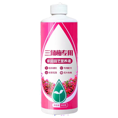 三角梅开花专用营养液肥促花