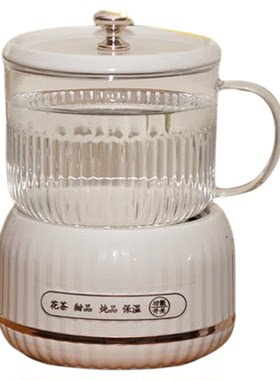 实用礼品暖心养生壶伴手礼