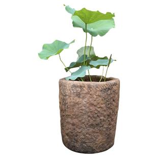 田园复古睡莲碗莲荷花盆缸庭院花园仿石槽花器阳台创意小盆景摆件
