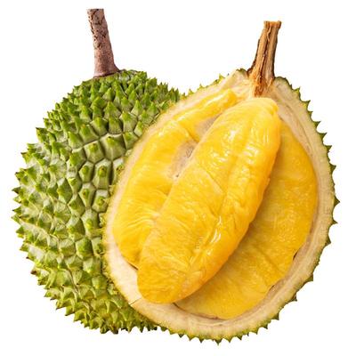 市舶士猫山王榴莲马来西亚进口