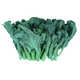 多丫甜芥兰菜种籽广东芥蓝菜籽种高产可采摘多次青菜蔬菜种孑种子