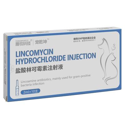 犬猫雾化用药盐酸林可霉素注射液