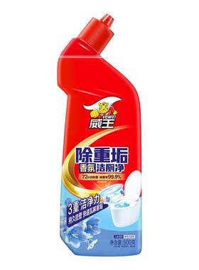 10瓶除垢整箱批威王洁厕液