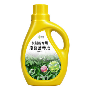 发财树专用营养液肥料专治叶子发黄掉叶烂根室内盆栽植物花肥通用