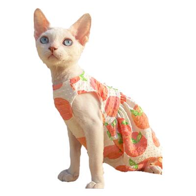 斯芬克斯德文泡泡袖轻薄无毛猫