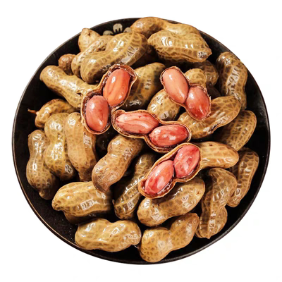 五香卤煮花生500g开袋即食水煮卤水带壳卤味花生米卤汁零食下酒菜