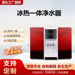 冰热净化器一体机净水器家用RO厂家挂壁纯水机水垢反渗透直饮台式