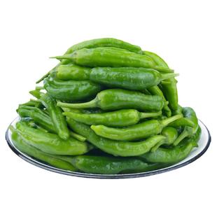 【顺丰】正宗湖南樟树小港辣椒现摘新鲜富晒食用薄皮嫩青线椒农产