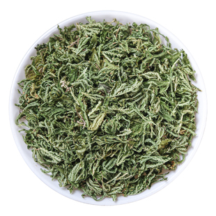 野生石上柏500克250g100g中药材深绿卷柏梭罗草地梭罗薄叶龙鳞草