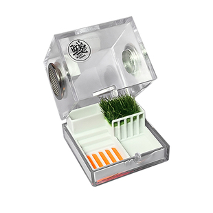 宠物跳蛛蜘蛛甲虫饲养箱爬宠饲养盒亚克力高透3D打印透明盒子造景