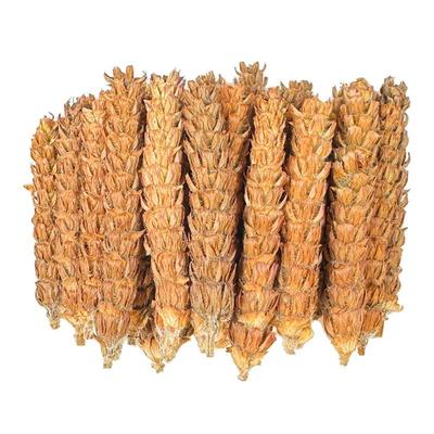 夏枯草500g河南南阳泡茶中药材