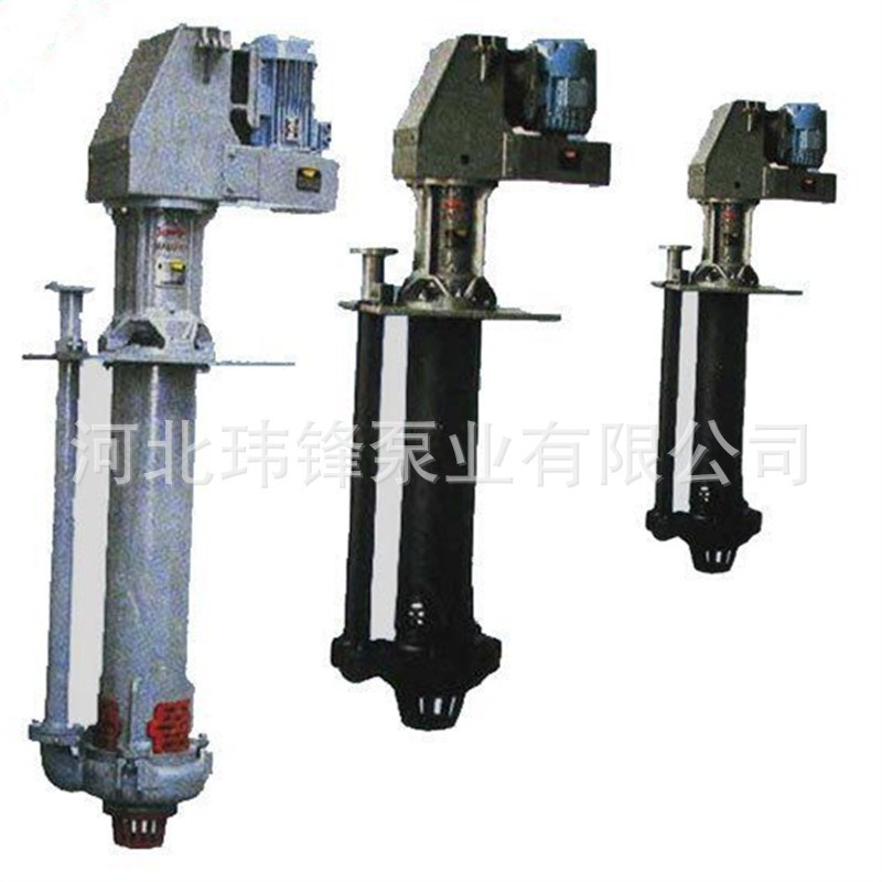 6QV-SPR型衬胶耐腐蚀液下渣浆泵泥浆泵液下管可加长度