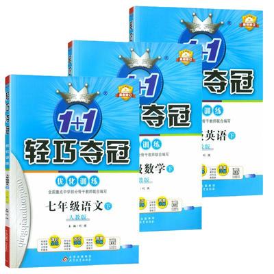 初中轻巧夺冠数学同步训练