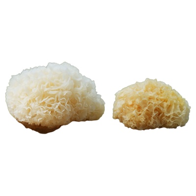 盛妈 椴木小银耳  不熏硫不漂白本色银耳 软糯好炖好出胶