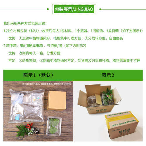 diy材料15cm切口苔藓微景观包创意玻璃球生态瓶子摆件礼品物套装