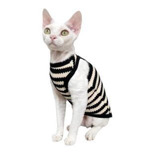 斯芬克斯无毛猫德文衣服复古毛衣弹力无袖背心矮脚秋季bf设计感