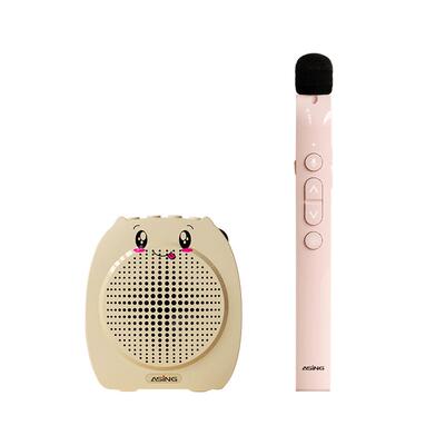 大行ASiNG无线翻页小蜜蜂扩音器