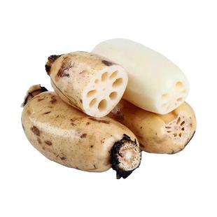 洪湖莲藕5斤包邮新鲜粉藕煲汤粉糯炖汤藕糯米藕煲汤藕湖北新鲜藕3