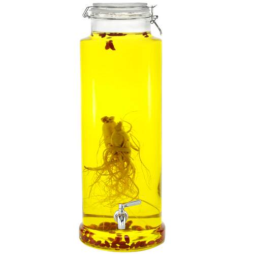 加厚泡酒玻璃瓶带龙头人参密封专用酒瓶酒坛家用泡酒罐药酒瓶酒缸