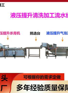 大型液压提升气泡清洗机全自动果蔬杀青预冷机商用净菜加工流水线