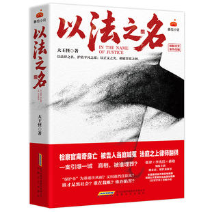 【官方正版】以法之名 同名原著电视剧四案交织层层反转的叙事迷宫 真实案例改编 直击司法痛点 现实主义力作悬疑推理小说正版书籍