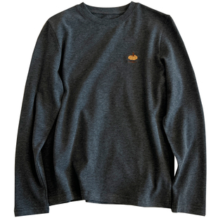 基础款百搭圆领南瓜刺绣长袖T恤女磨毛厚实小众减龄内搭打底衫秋