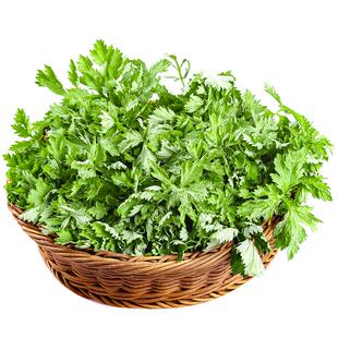 艾草新鲜现摘食用应当季生艾叶糍粑野生食用清明草青团艾叶草