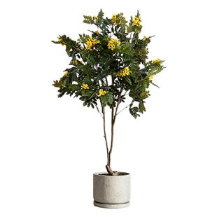 仿真绿植大型黄槐花树室内服装店民宿装饰高级感假植物盆栽摆件