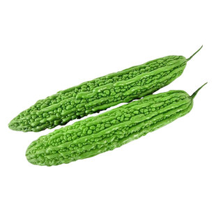 荷兰高产苦瓜种子种籽苗嫁接带土大全孑苹果蔬菜秧苗四季菜苗秧白