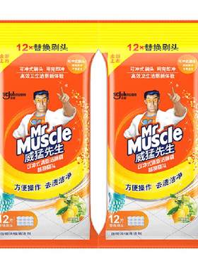 威猛先生一次性马桶刷12片×2包