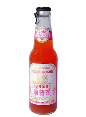 康普茶KOMBUCHA发酵类气泡茶
