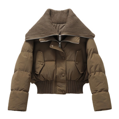 晶煊韩国高级感短款翻领羽绒棉袄