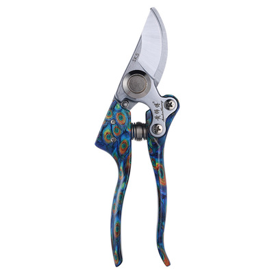 黄师傅果树大号修枝剪树枝专用剪子强力园林树枝修剪工具园艺剪