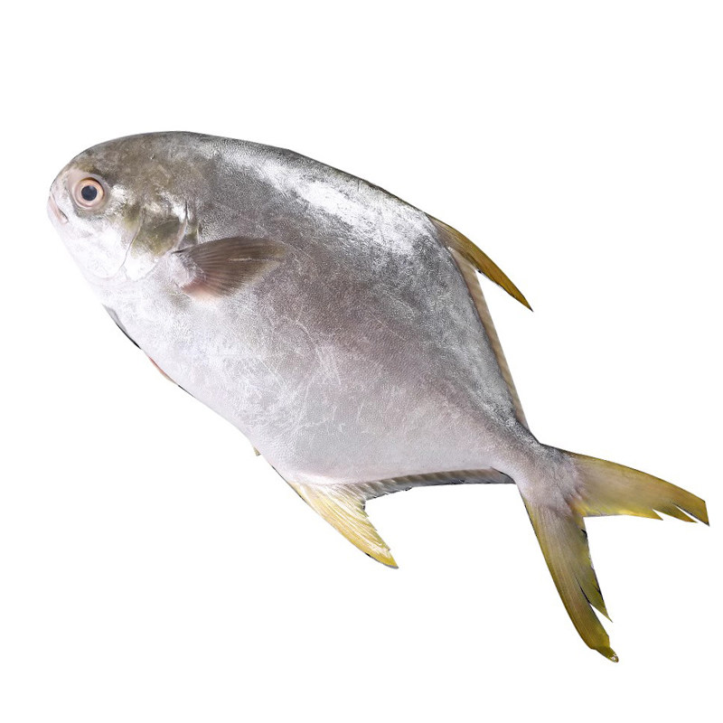 新货！新鲜！肥！肉多刺少！够称