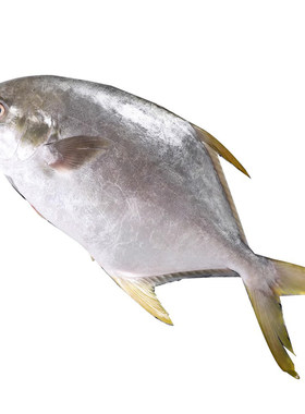 新货！新鲜！肥！肉多刺少！够称