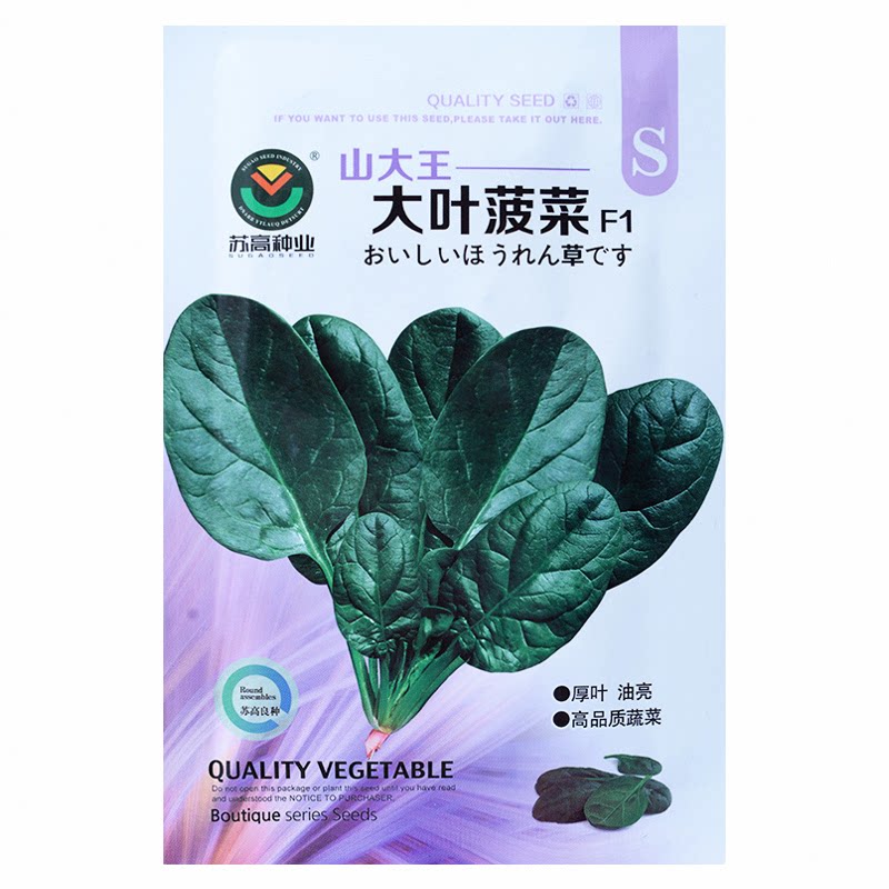 四季大叶菠菜种子种孑菜园盆栽耐热耐寒厚叶趴地虎菠菜籽蔬菜种籽
