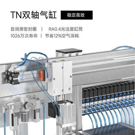 TWSNS台氣山耐斯双轴TN气缸径10/16/20/25/32行程10/50/100/150/2