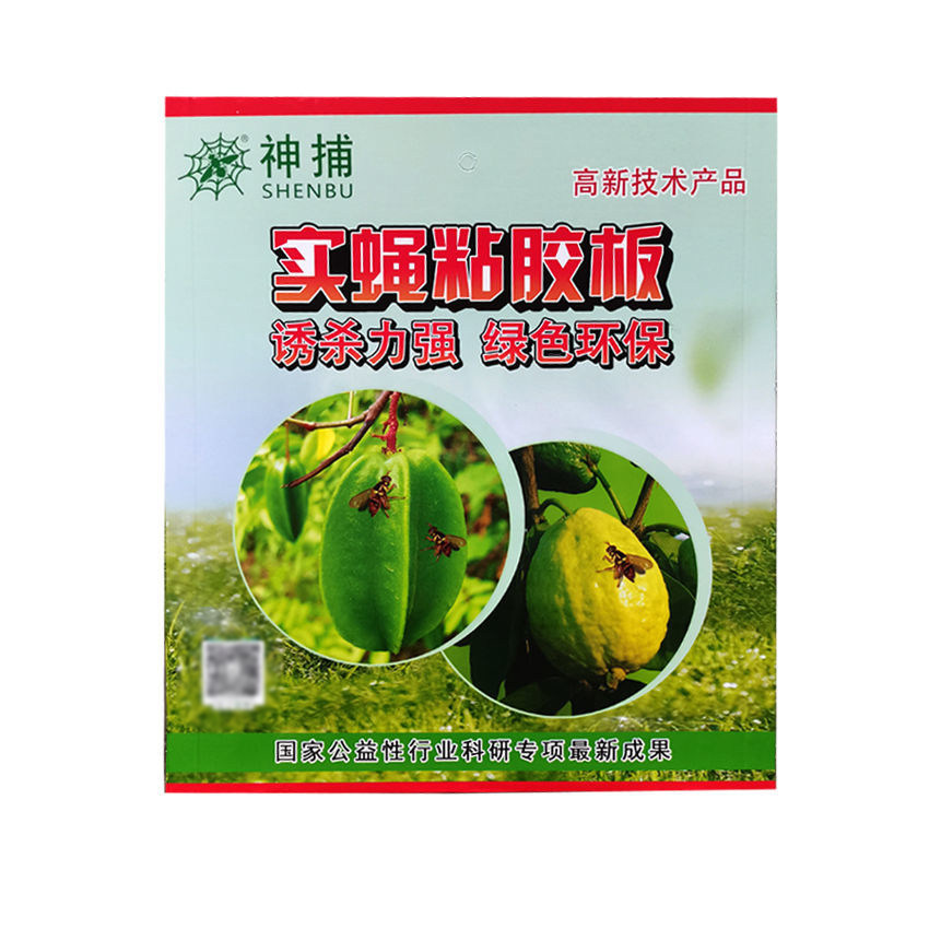 实蝇粘胶板果蝇贴灭果蝇诱捕器瓜果实蝇诱粘剂针蜂引诱剂粘虫蜜蜂