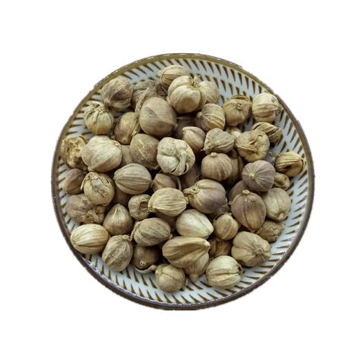 白豆蔻包邮500克香料 白寇仁白扣调料佐料大全中药材店铺干货白叩