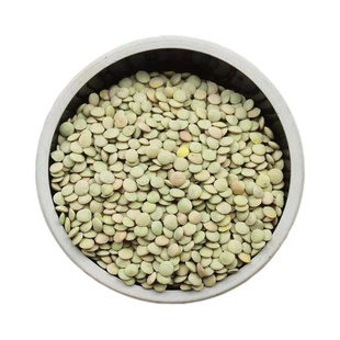 发芽专用小扁豆甘肃特产农家高原金豌豆兵豆绿扁豆五谷杂粮扁豆子