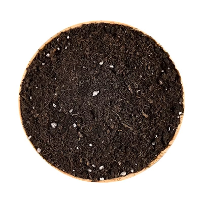 营养土种菜专用土壤种植土