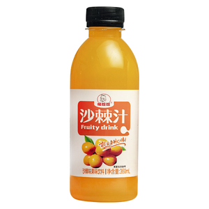 买一送一沙棘汁果味饮料24瓶整箱