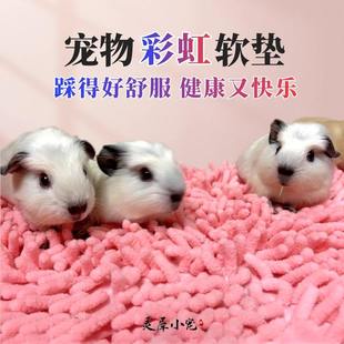 荷兰猪垫子雪尼尔毛绒防滑豚鼠窝脚垫兔子取暖龙猫造景宠物睡觉垫
