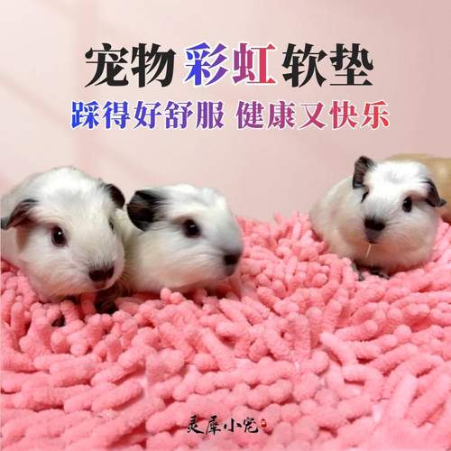 荷兰猪垫子雪尼尔毛绒防滑豚鼠窝脚垫兔子取暖龙猫造景宠物睡觉垫
