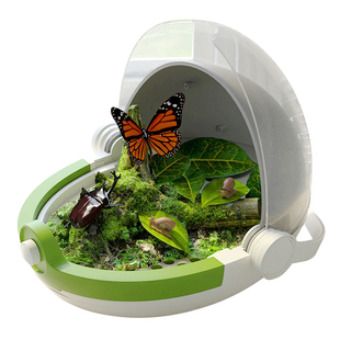 无菌蚕宝宝蜗牛甲虫独角仙蝴蝶太空舱饲养盒养蚕套装鲜桑叶专用盒