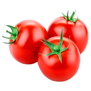 大红番茄苗秧苗老品种口感大粉西红柿苗幼苗四季水果苗阳台盆栽苗