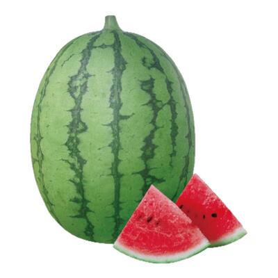 蟋蟀夏季超甜小糖丸西瓜种子